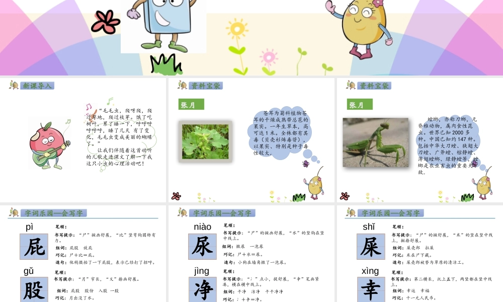 人教版-二下-11《我是一只小虫子》.pptx