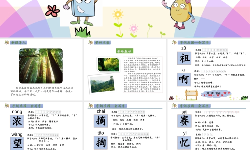 人教版-二下-23.祖先的摇篮.pptx