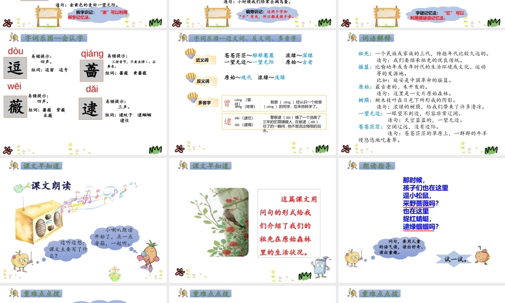 人教版-二下-23.祖先的摇篮.pptx