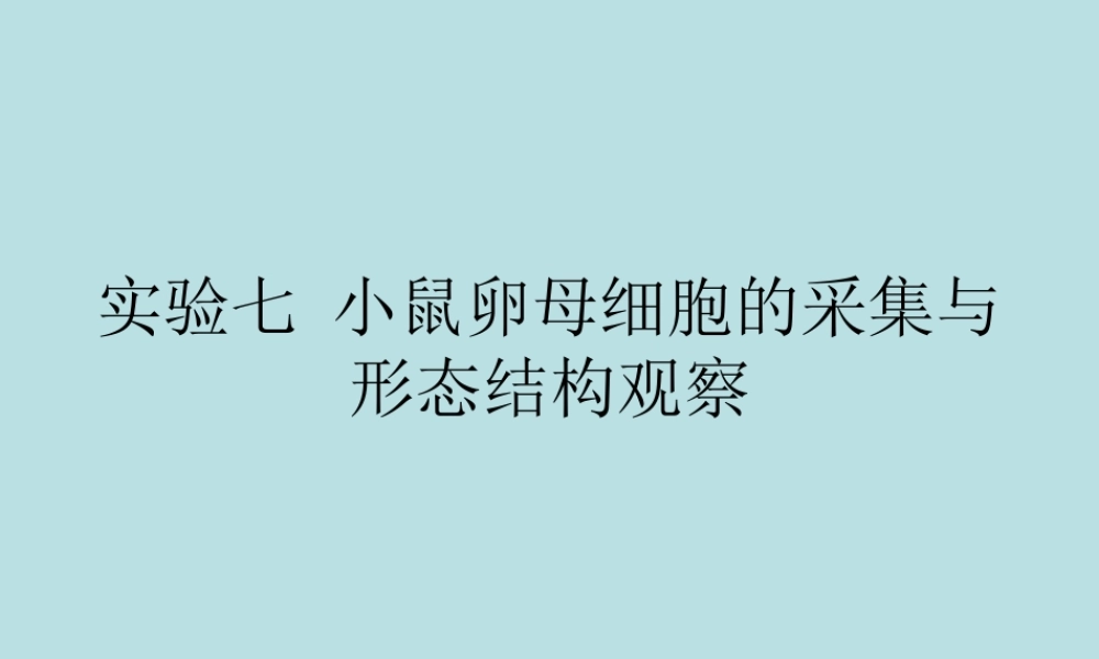 实验七卵母细胞采集与观察(1).ppt
