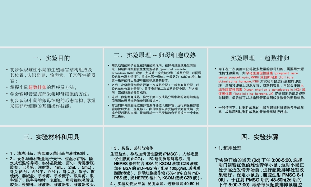 实验七卵母细胞采集与观察(1).ppt