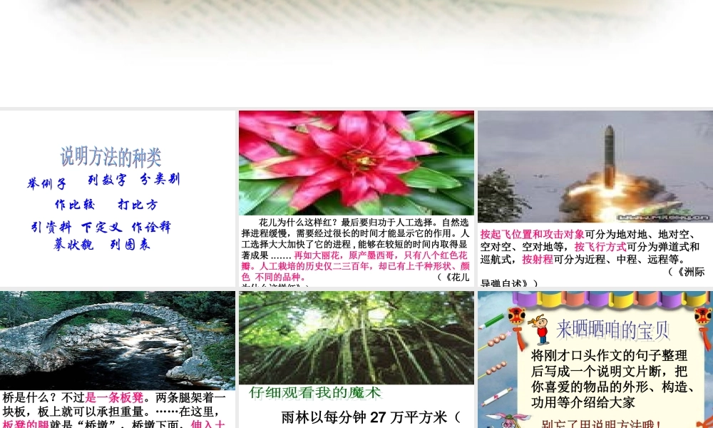 说明方法在写作中的运用.ppt