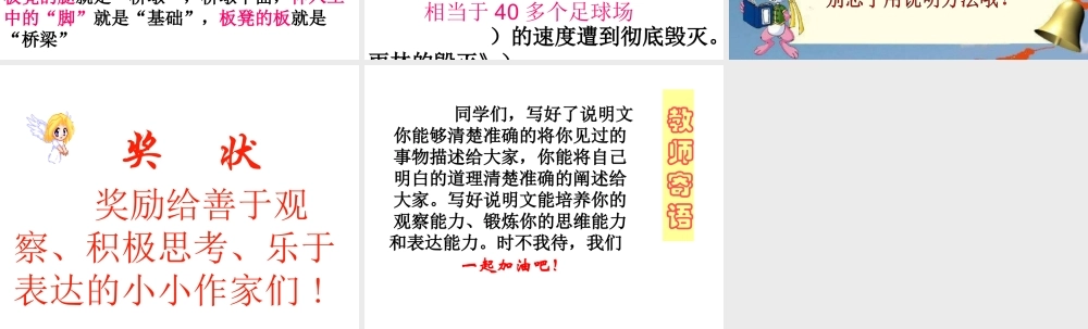 说明方法在写作中的运用.ppt