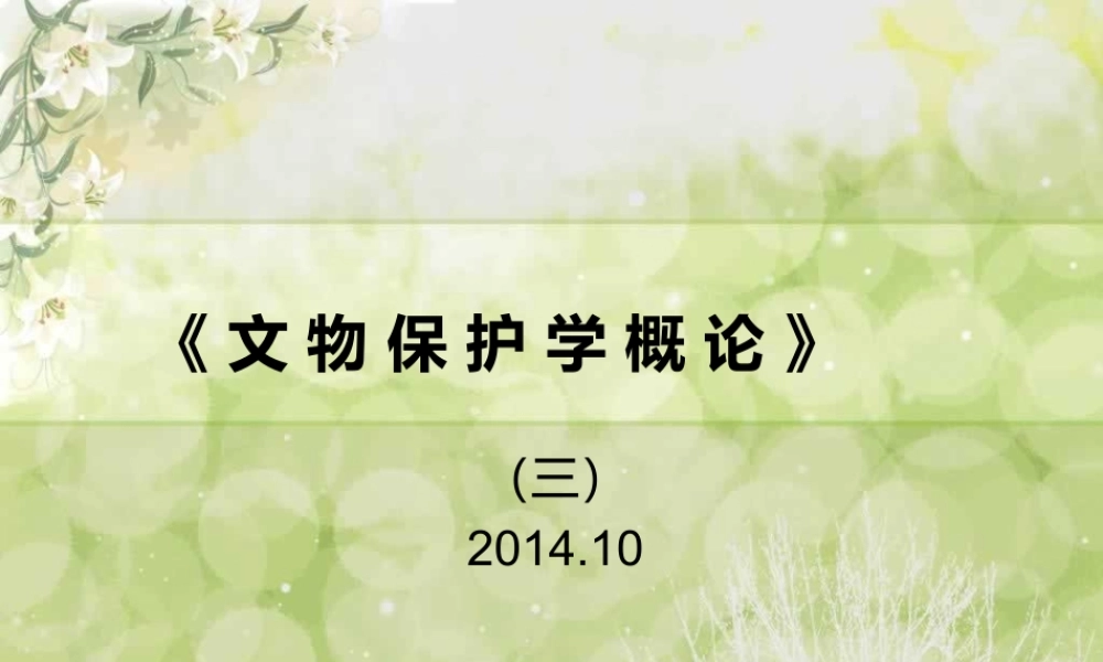 文物保护学概论2014（三）.ppt