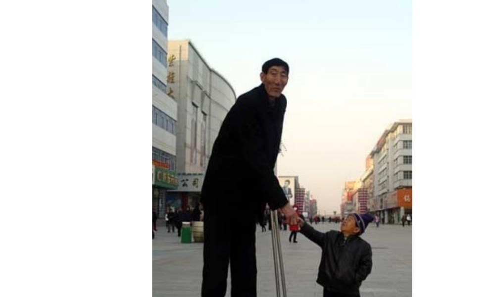 议论文写作指导结构模式篇正反对照式.ppt