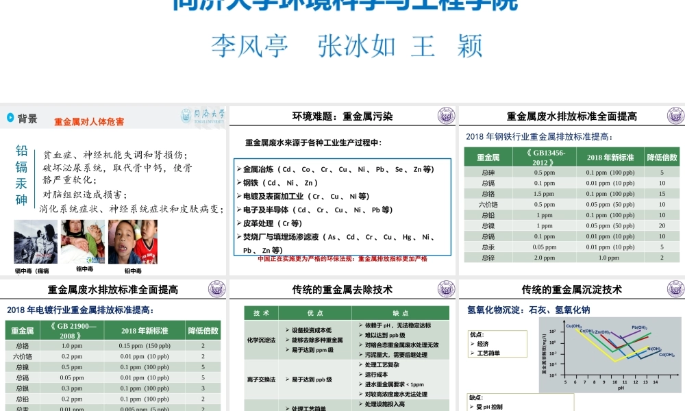 自用钢铁和电镀行业重金属处理案例（同济大学李风亭2018杭州会议）.pptx