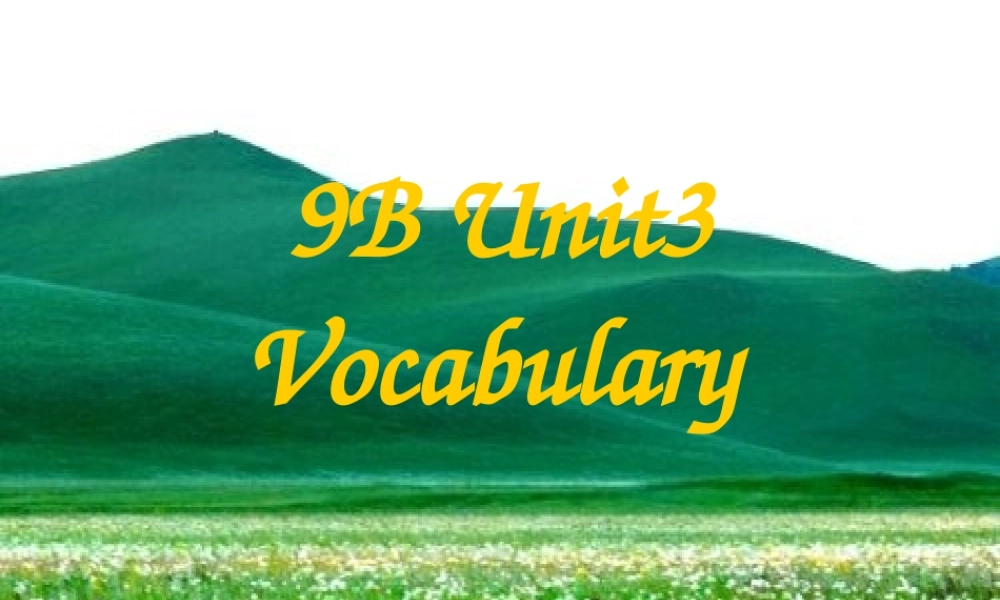 9B Unit3 Vocabulary课件.ppt