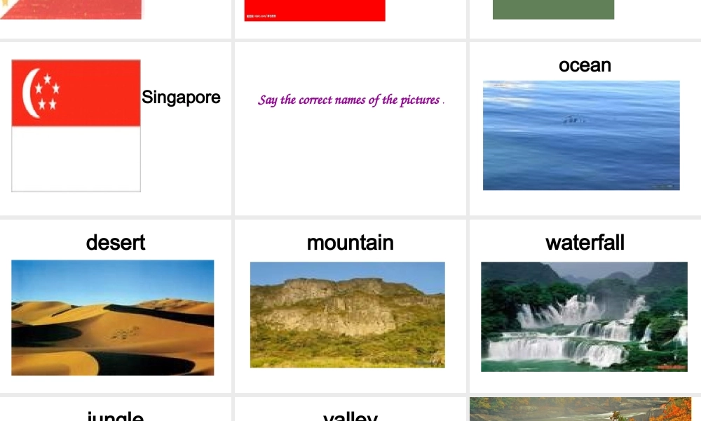 9B Unit3 Vocabulary课件.ppt