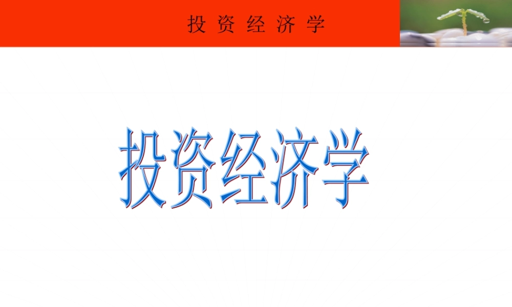 投资经济学1（导论）.ppt