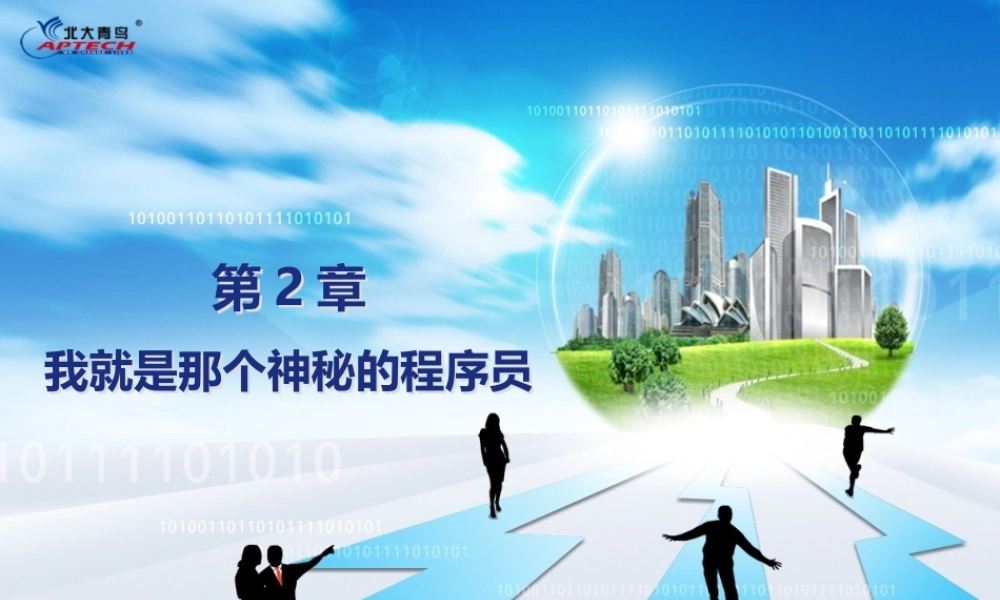 Ch02我就是那个神秘的程序员.pptx
