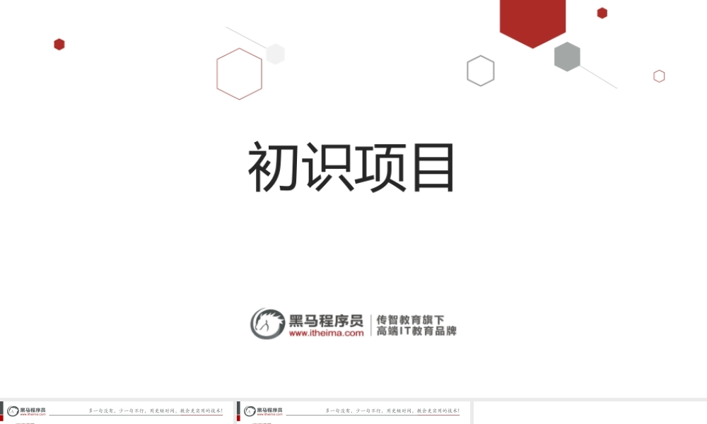 day01-初识项目 - old.pptx