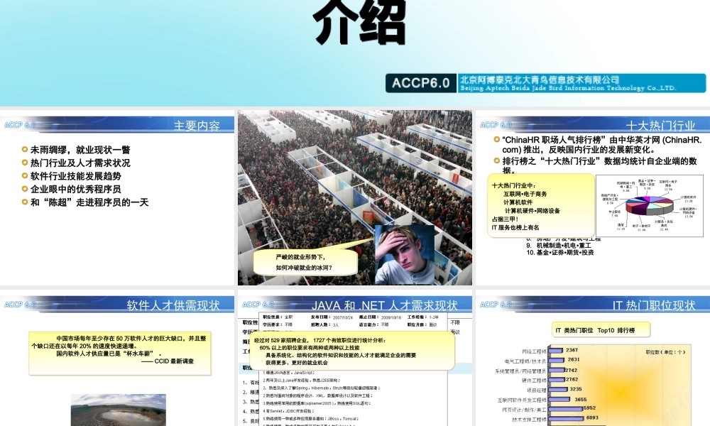 TP08 软件开发行业发展状况.ppt