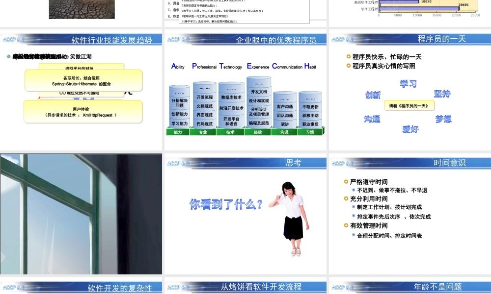 TP08 软件开发行业发展状况.ppt