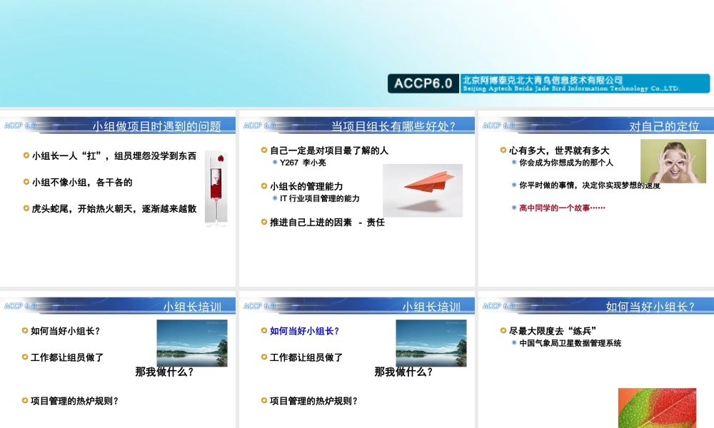 TP11 小组长培训之带项目工作思路.ppt