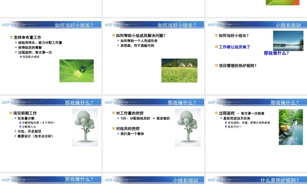 TP11 小组长培训之带项目工作思路.ppt