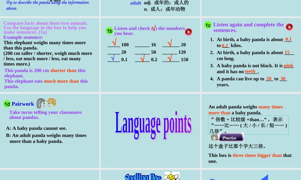 中学八年级英语下册教学课件：Unit 7 Section B1.ppt