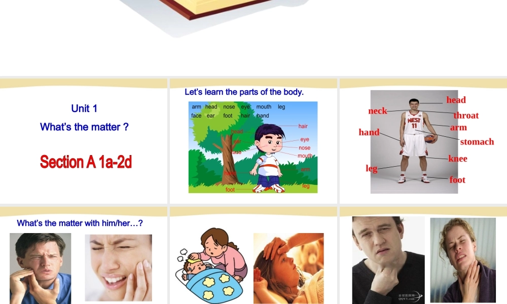 Section A-1（共计67张PPT）.ppt