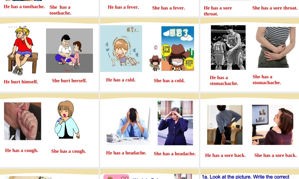 Section A-1（共计67张PPT）.ppt