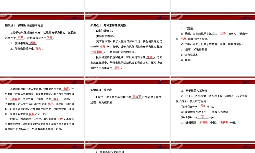 19-3、4探测射线的方法 和放射性的应用与防护.ppt