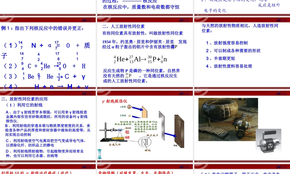 高中物理新课标版人教版选修3-5精品课件：19.4《放射性的应用与防护》.ppt