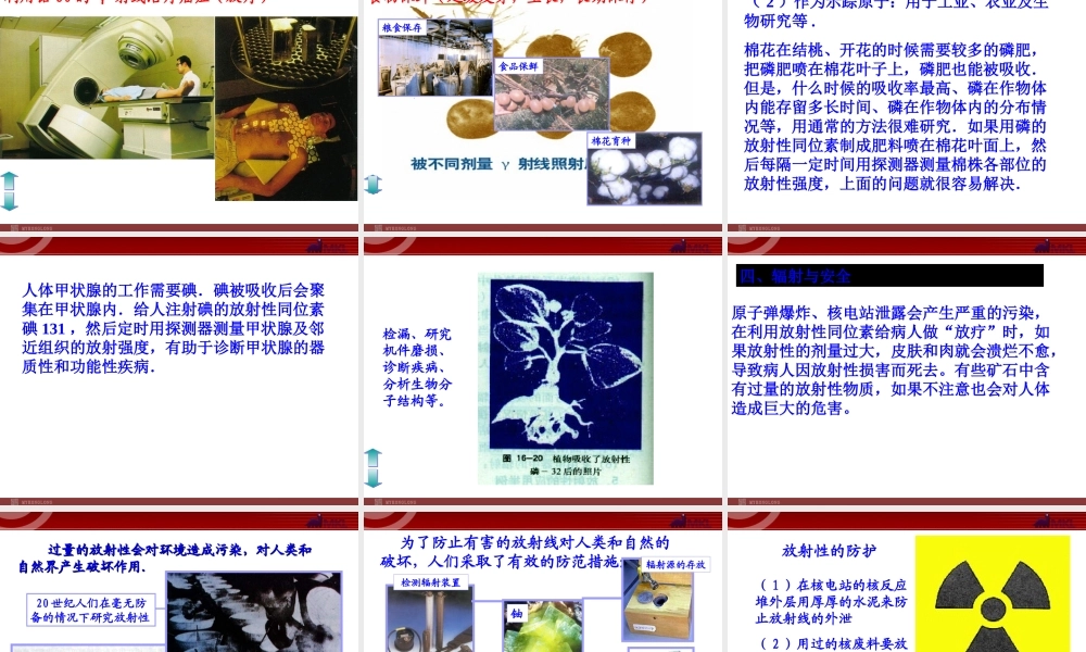 高中物理新课标版人教版选修3-5精品课件：19.4《放射性的应用与防护》.ppt