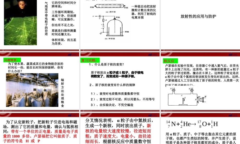 高中物理新课标版人教版选修3-5精品课件：19.3《探测射线的方法》.ppt