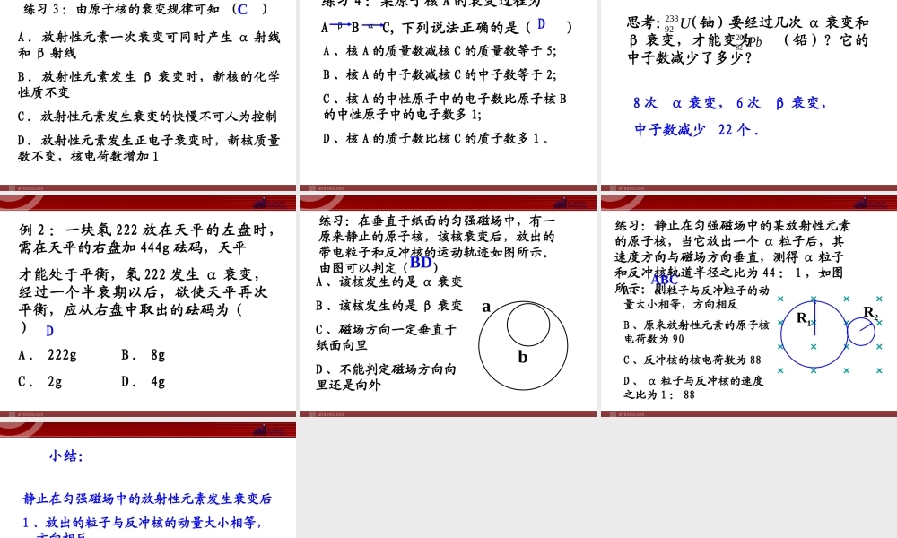 高中物理新课标版人教版选修3-5精品课件：19.2《放射性元素的衰变》.ppt
