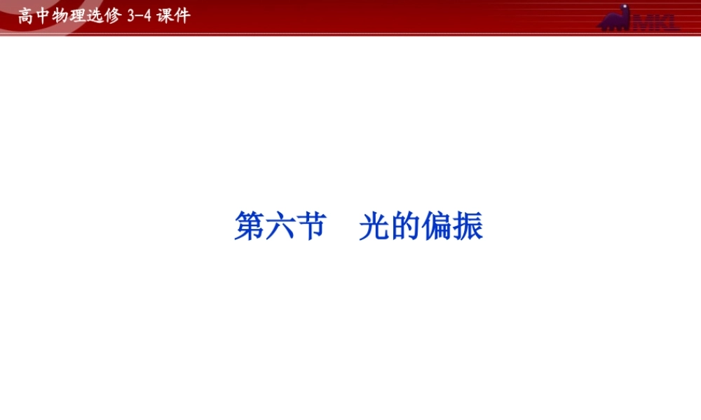 高中物理 第13章 第6节光的偏振课件 新人教版选修3-4.ppt
