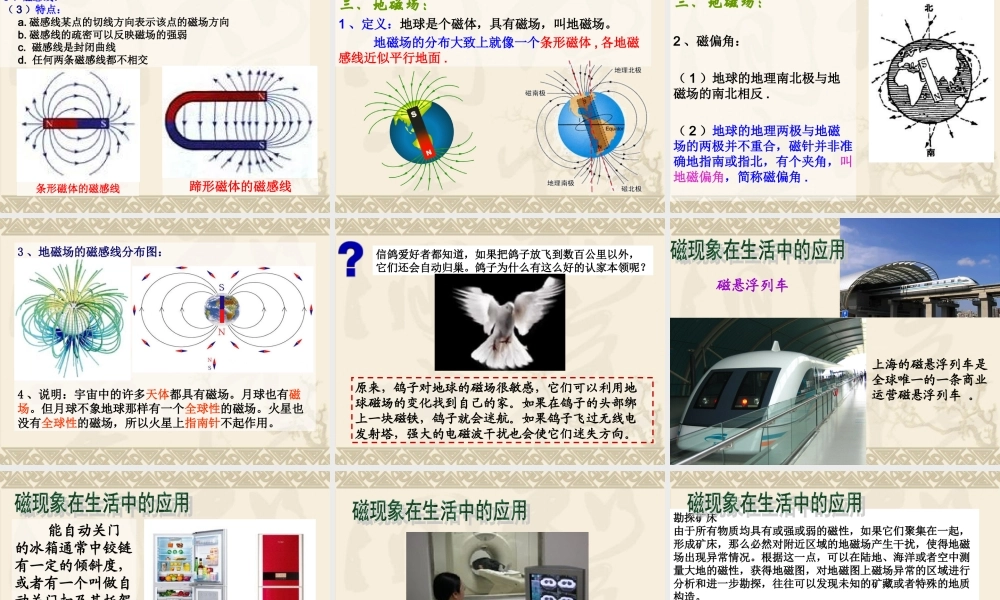 高中物理新课标版人教版选修1-1精品课件：2.1《指南针与远洋航海》PPT课件(新人教版选修1-1).ppt