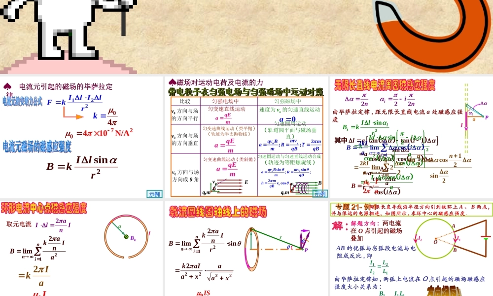 全国中学生物理竞赛课件21：说磁.ppt