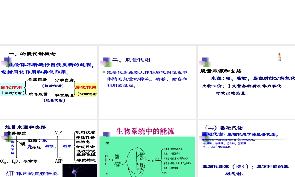 第十一章 代谢和代谢调控总论.ppt
