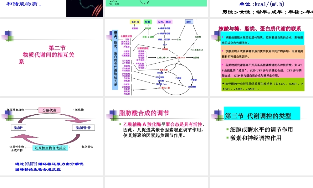 第十一章 代谢和代谢调控总论.ppt