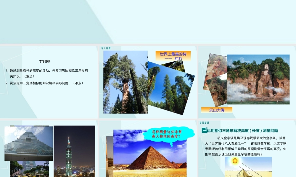 4.6 利用相似三角形测高.pptx