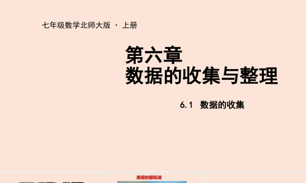 6.1 数据的收集.pptx
