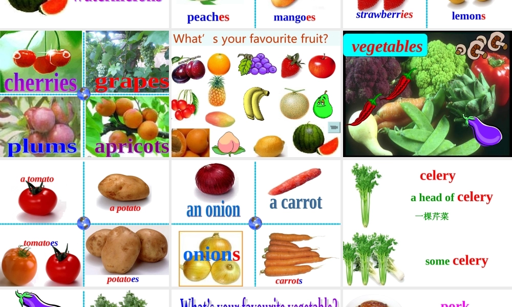 WY7上Module 4 unit 1课件.ppt
