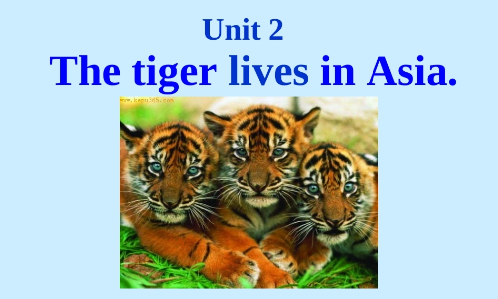 Unit2 典案二 PPT课件教学案例.ppt