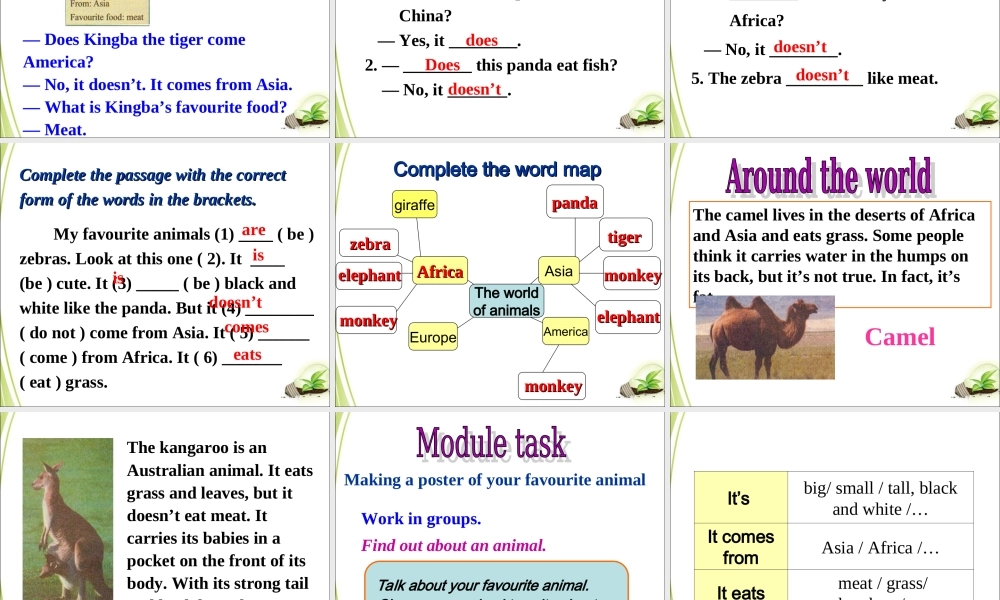 Unit3 典案三 PPT课件教学案例.ppt