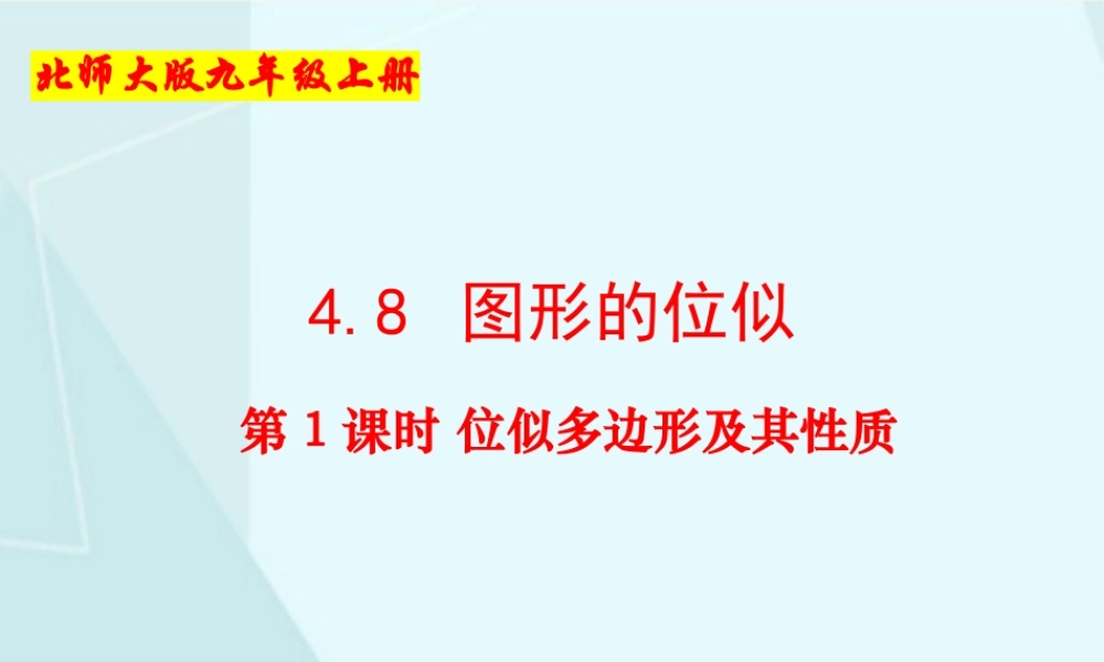 第1课时 位似多边形及其性质.pptx