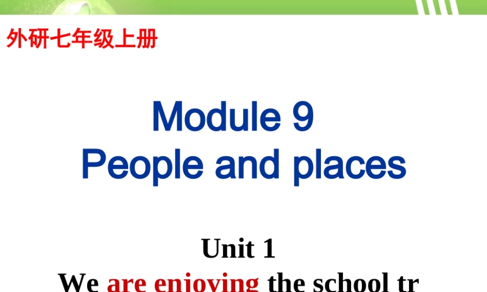 外研版七年级英语上册Module9 Unit1 课件 (共28张PPT).ppt