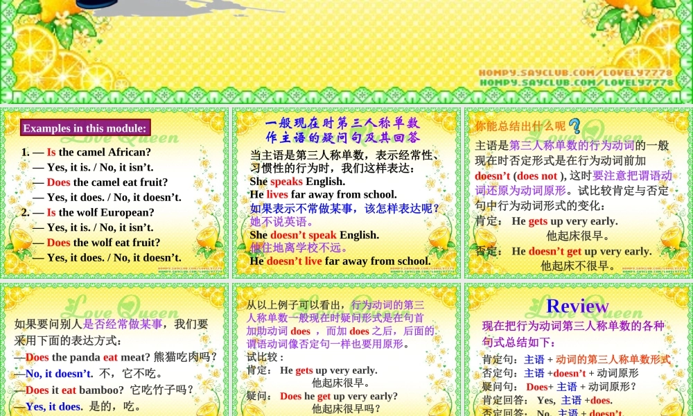 外研英语七年级上Module 6 A trip to the zoo Unit 3 Language in use课件 （共24张PPT）.ppt