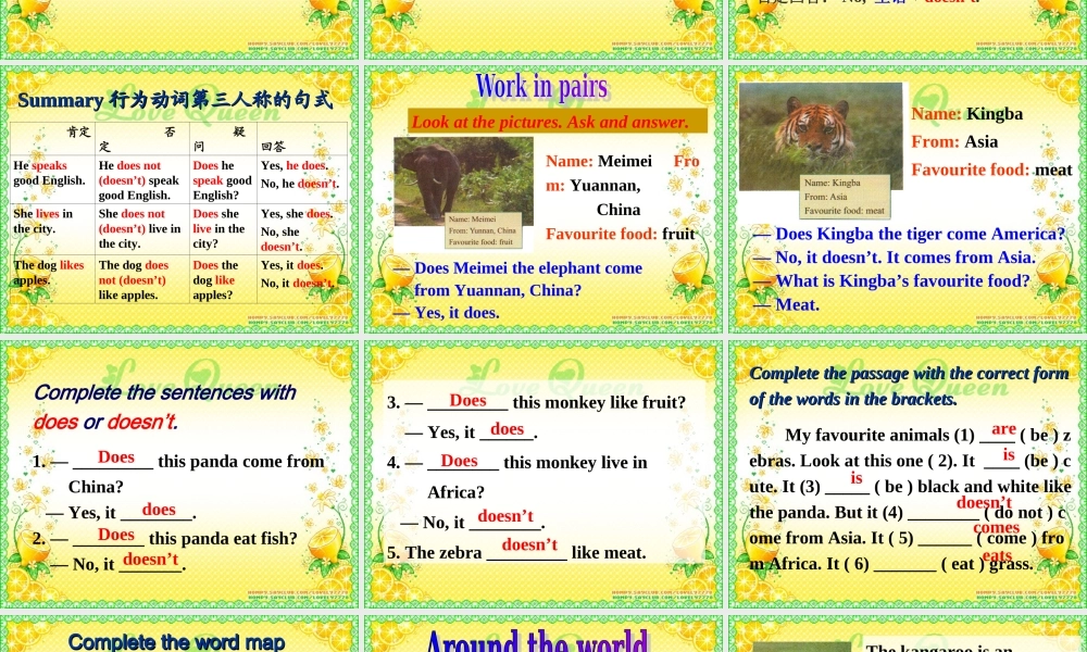 外研英语七年级上Module 6 A trip to the zoo Unit 3 Language in use课件 （共24张PPT）.ppt