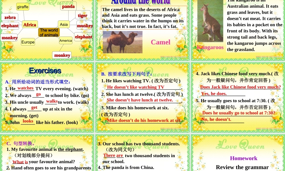 外研英语七年级上Module 6 A trip to the zoo Unit 3 Language in use课件 （共24张PPT）.ppt