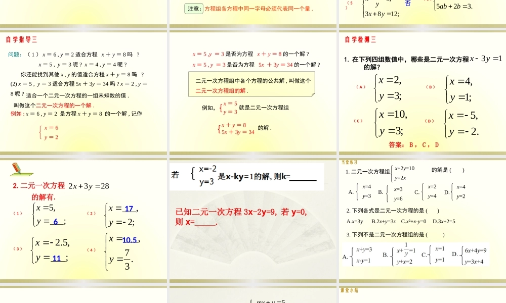 5.1认识二元一次方程组.pptx