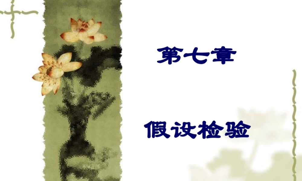 第七章 假设检验PPT.ppt