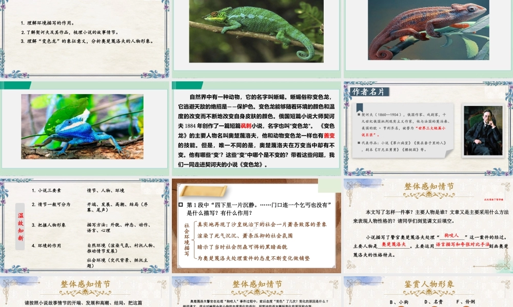 《变色龙》.pptx