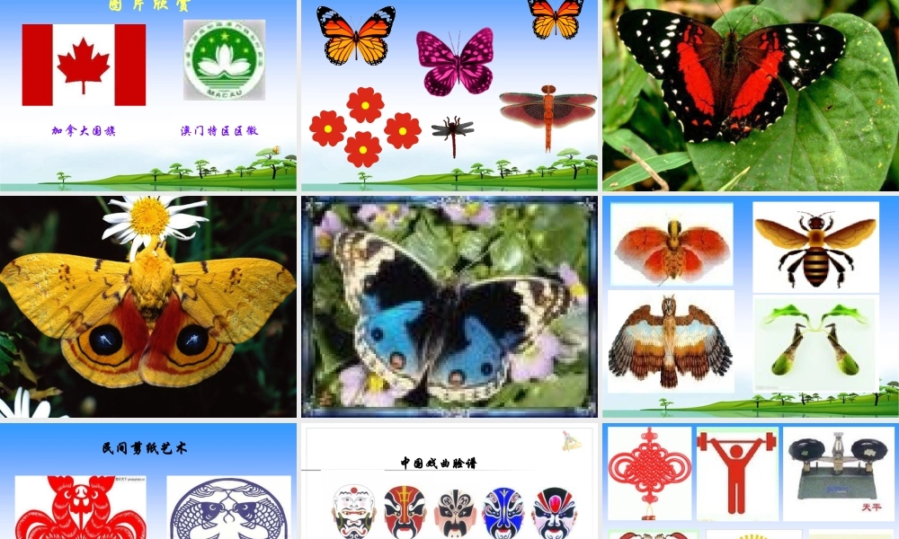 【课件】 轴对称图形的认识.ppt