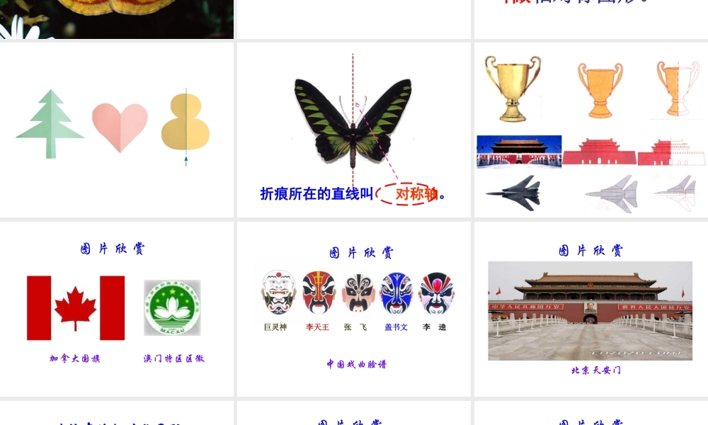【课件】美丽的轴对称图形.ppt