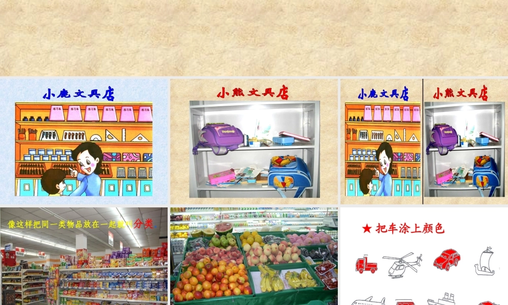 【课件】整理与分类 (1).ppt