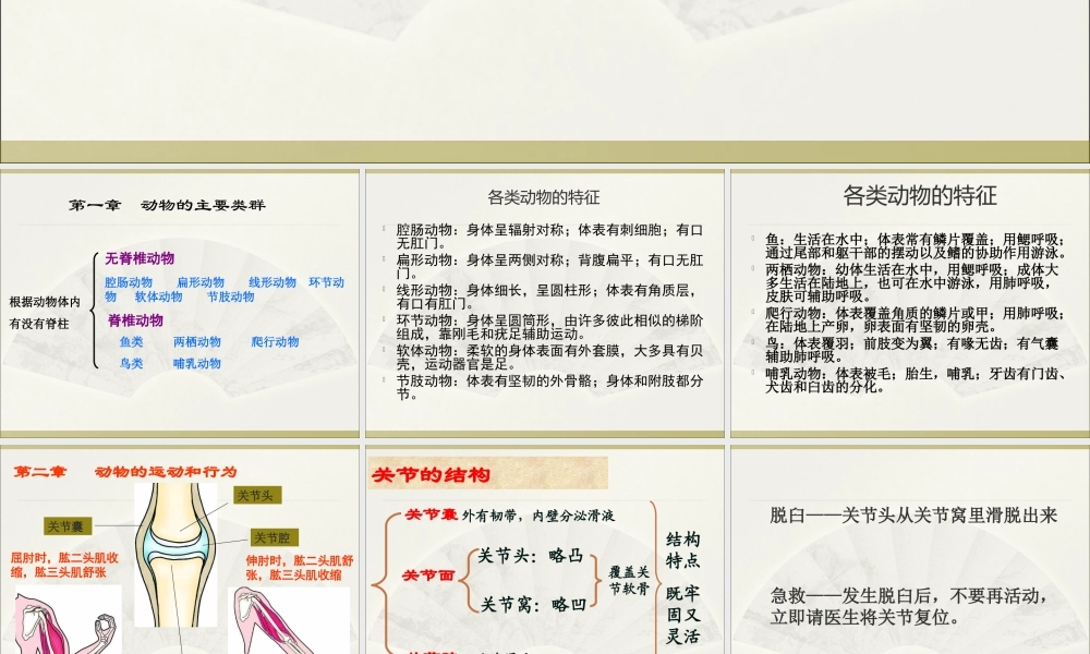 01第五单元 生物圈中的其他生物.ppt