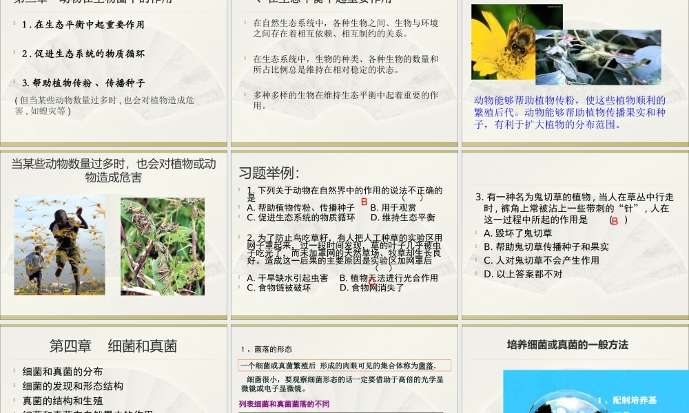 01第五单元 生物圈中的其他生物.ppt